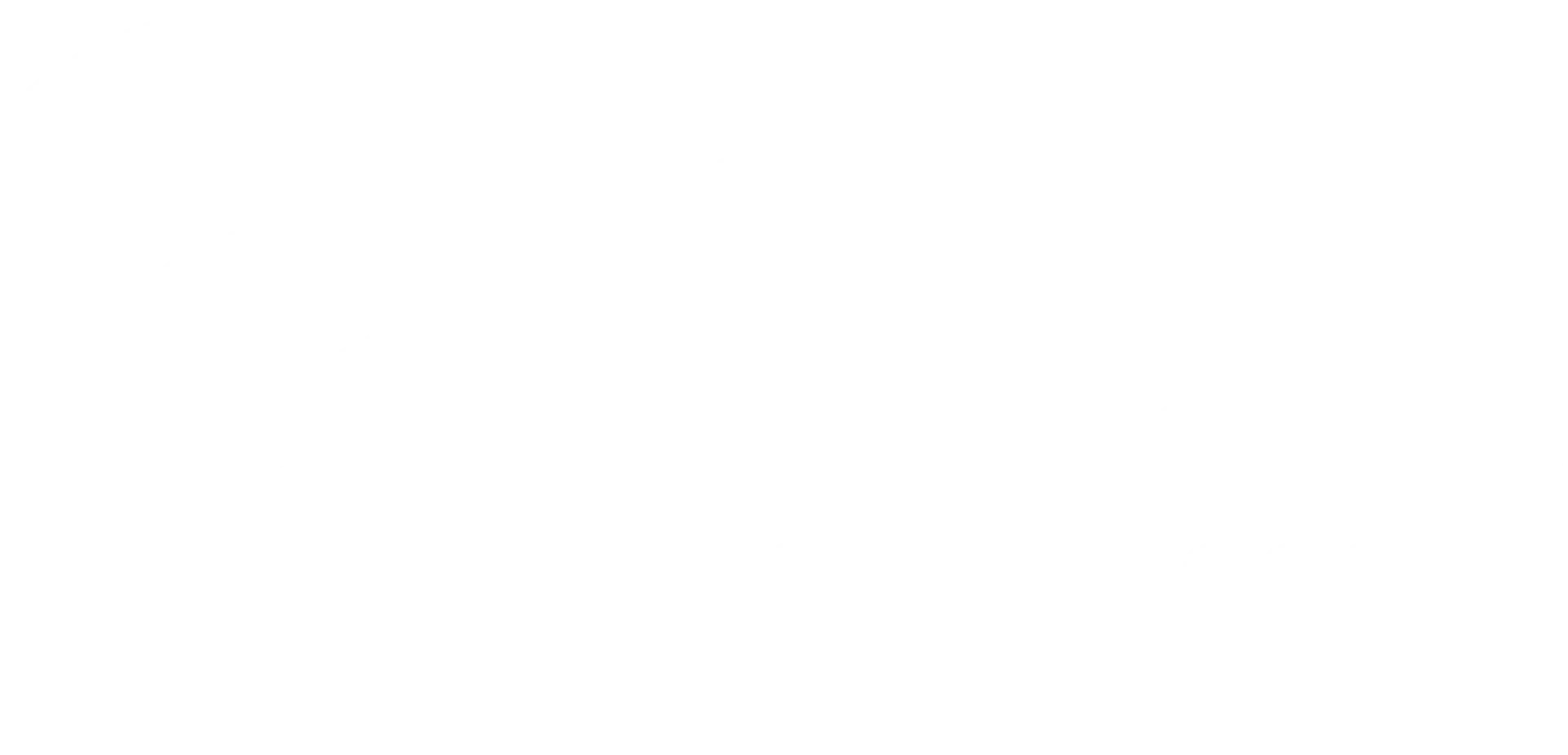 Logo Novo White ANMP
